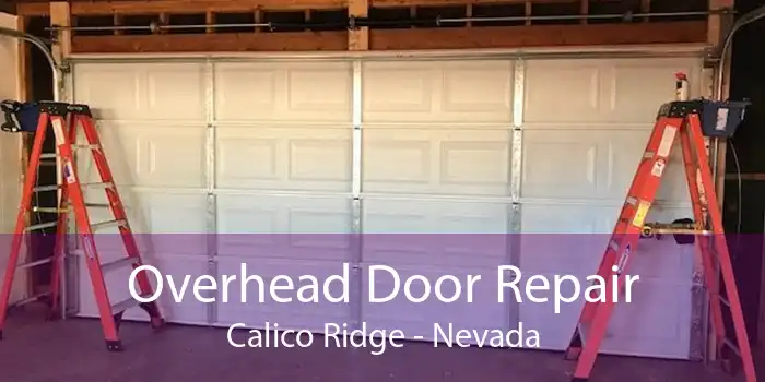 Overhead Door Repair Calico Ridge - Nevada