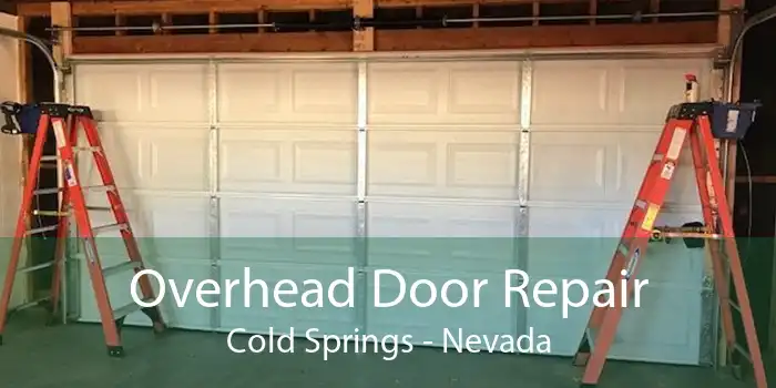 Overhead Door Repair Cold Springs - Nevada