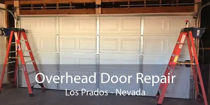 Overhead Door Repair Los Prados - Nevada