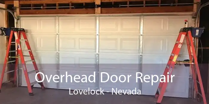 Overhead Door Repair Lovelock - Nevada