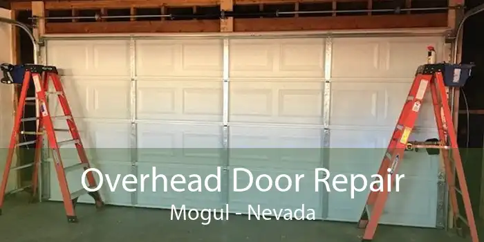 Overhead Door Repair Mogul - Nevada
