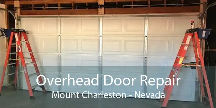 Overhead Door Repair Mount Charleston - Nevada