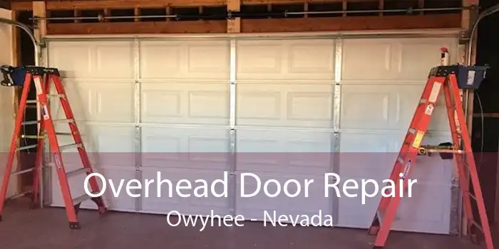 Overhead Door Repair Owyhee - Nevada