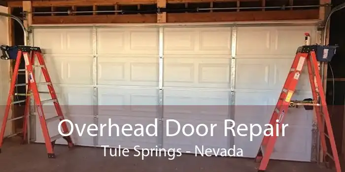 Overhead Door Repair Tule Springs - Nevada