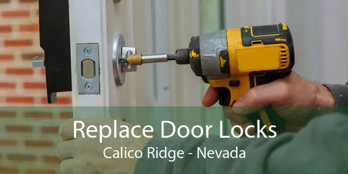 Replace Door Locks Calico Ridge - Nevada