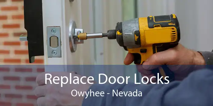 Replace Door Locks Owyhee - Nevada