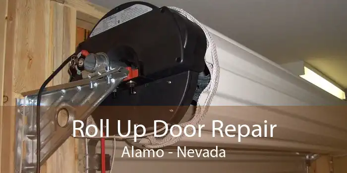 Roll Up Door Repair Alamo - Nevada
