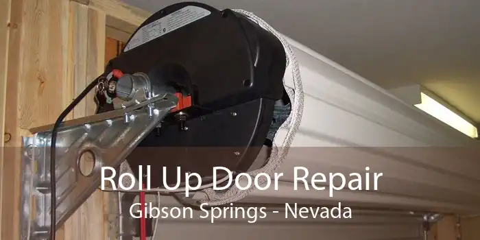 Roll Up Door Repair Gibson Springs - Nevada
