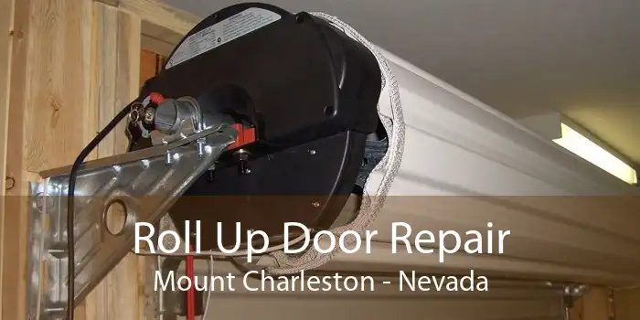 Roll Up Door Repair Mount Charleston - Nevada