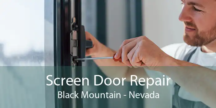 Screen Door Repair Black Mountain - Nevada