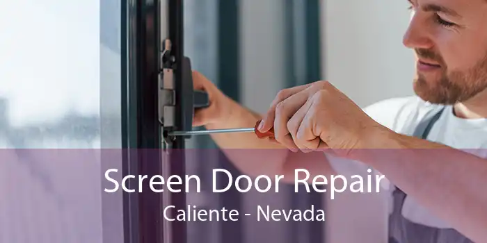 Screen Door Repair Caliente - Nevada