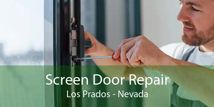 Screen Door Repair Los Prados - Nevada