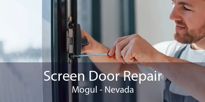 Screen Door Repair Mogul - Nevada