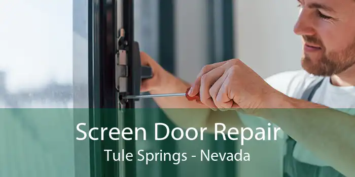 Screen Door Repair Tule Springs - Nevada