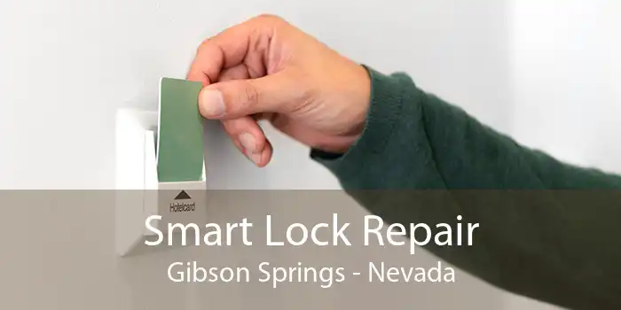 Smart Lock Repair Gibson Springs - Nevada