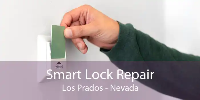 Smart Lock Repair Los Prados - Nevada