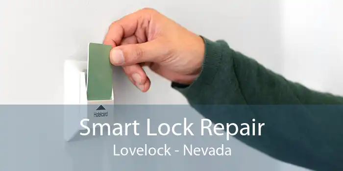 Smart Lock Repair Lovelock - Nevada