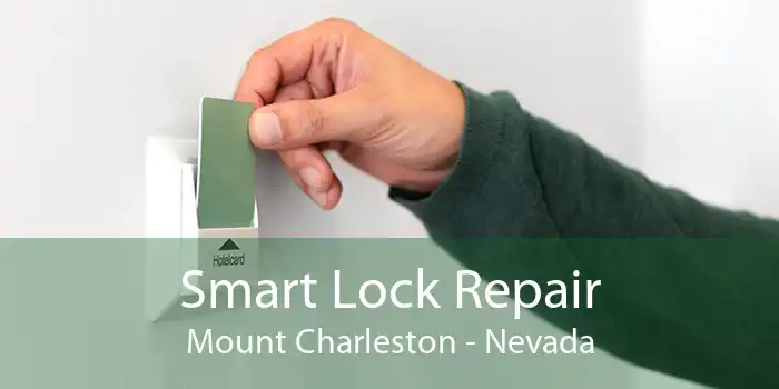Smart Lock Repair Mount Charleston - Nevada