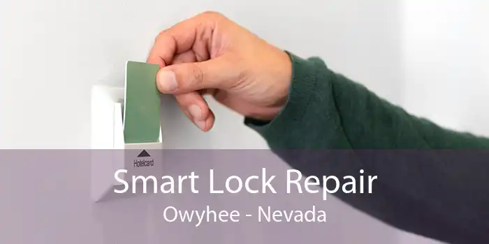 Smart Lock Repair Owyhee - Nevada