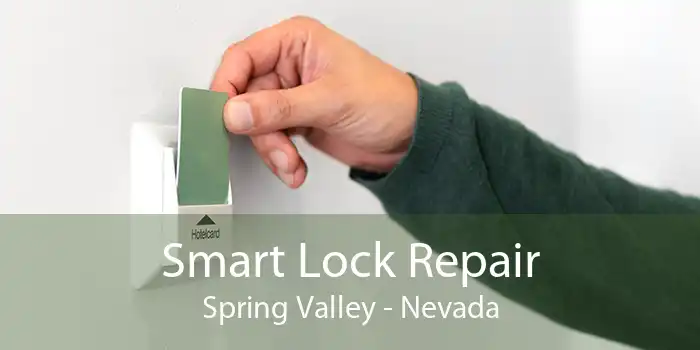 Smart Lock Repair Spring Valley - Nevada
