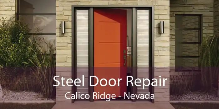 Steel Door Repair Calico Ridge - Nevada