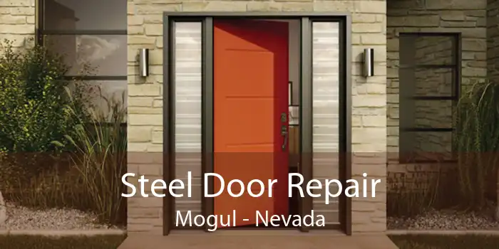 Steel Door Repair Mogul - Nevada