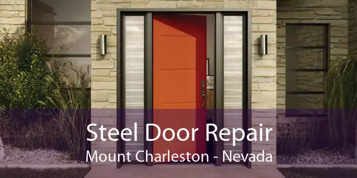 Steel Door Repair Mount Charleston - Nevada