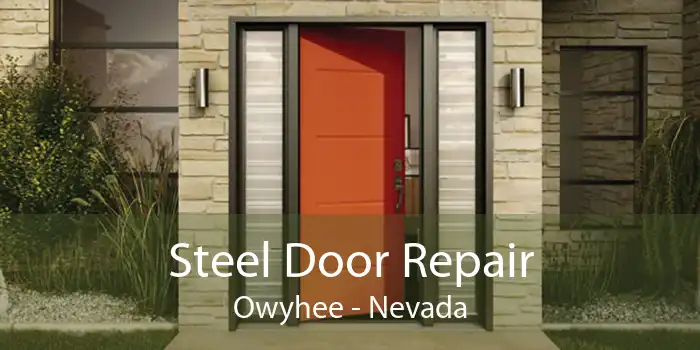 Steel Door Repair Owyhee - Nevada