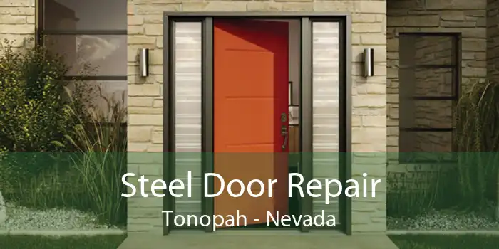 Steel Door Repair Tonopah - Nevada