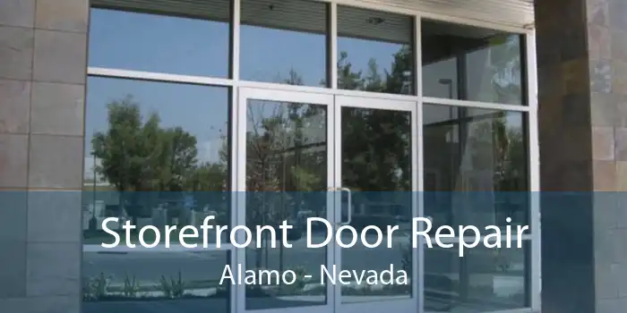 Storefront Door Repair Alamo - Nevada
