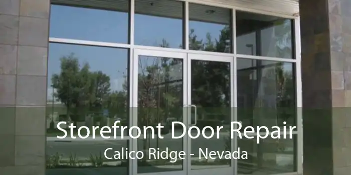 Storefront Door Repair Calico Ridge - Nevada
