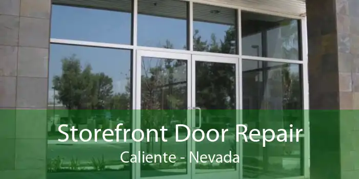 Storefront Door Repair Caliente - Nevada