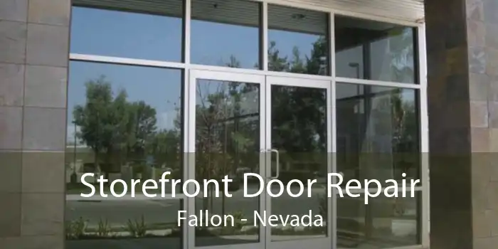 Storefront Door Repair Fallon - Nevada