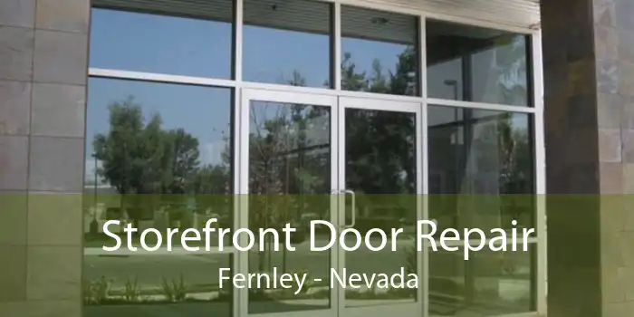 Storefront Door Repair Fernley - Nevada