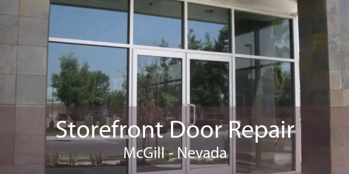 Storefront Door Repair McGill - Nevada