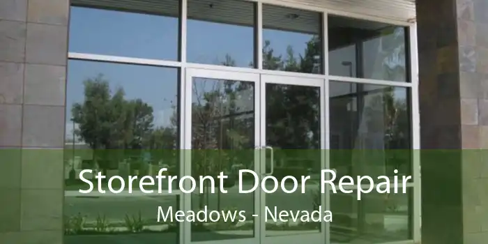 Storefront Door Repair Meadows - Nevada