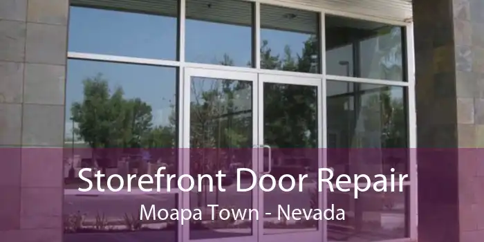 Storefront Door Repair Moapa Town - Nevada