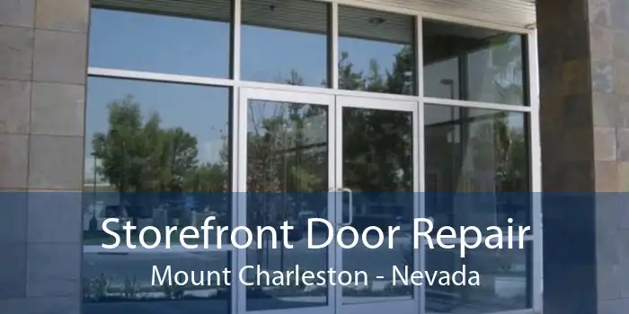 Storefront Door Repair Mount Charleston - Nevada