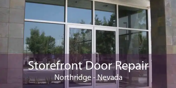 Storefront Door Repair Northridge - Nevada