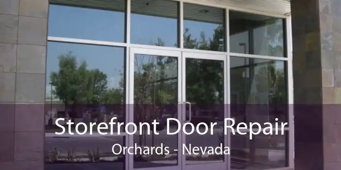 Storefront Door Repair Orchards - Nevada