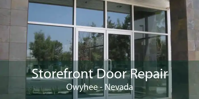 Storefront Door Repair Owyhee - Nevada