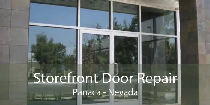 Storefront Door Repair Panaca - Nevada