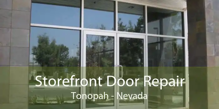 Storefront Door Repair Tonopah - Nevada