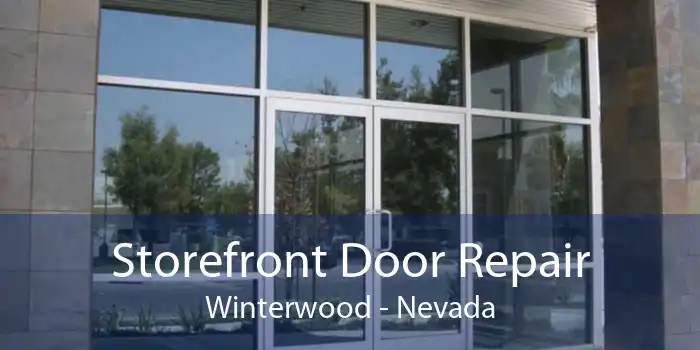 Storefront Door Repair Winterwood - Nevada