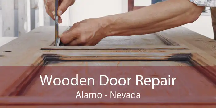 Wooden Door Repair Alamo - Nevada