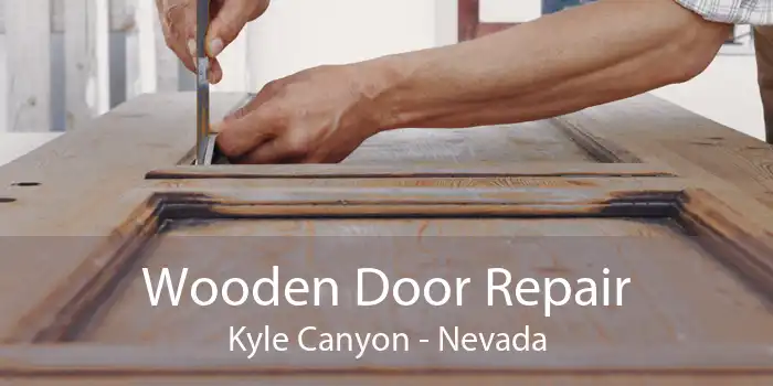 Wooden Door Repair Kyle Canyon - Nevada