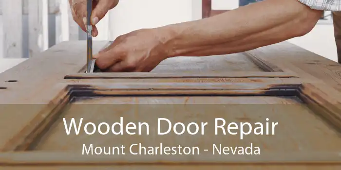 Wooden Door Repair Mount Charleston - Nevada